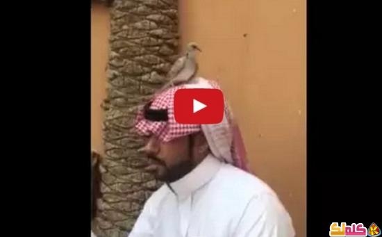 فيديو سعودي مربي طيور 