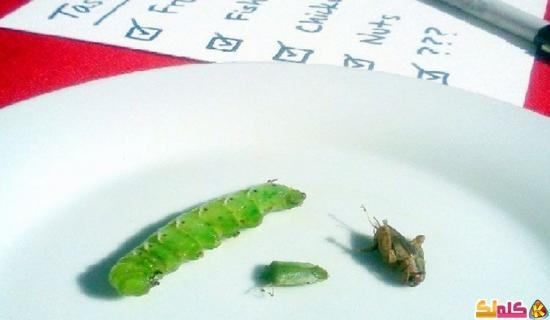 حقائق ومعلوماتٌ مُدهشة ستفاجئك عن أكل الحشرات 