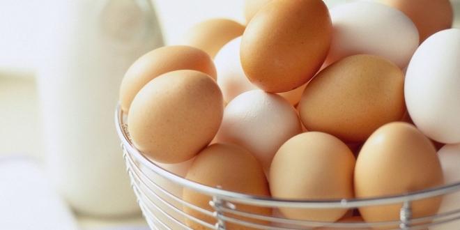 ما هو الفرق بين البيض البني والبيض الأبيض 