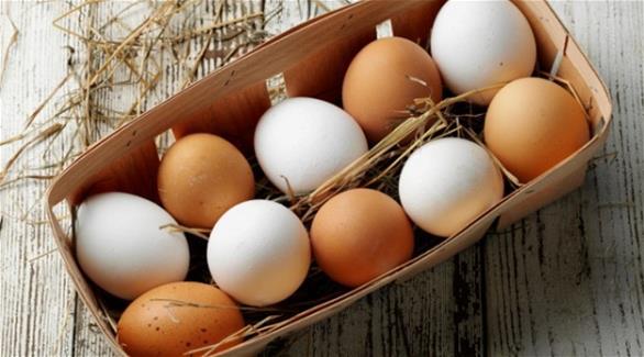 بالفيديو ما الفرق بين البيض البني والأبيض 