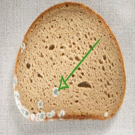خطأ شائع نرتكبه جميعنا لهذا السبب إحذروا إزالة الأجزاء المتعفنة من الخبز 
