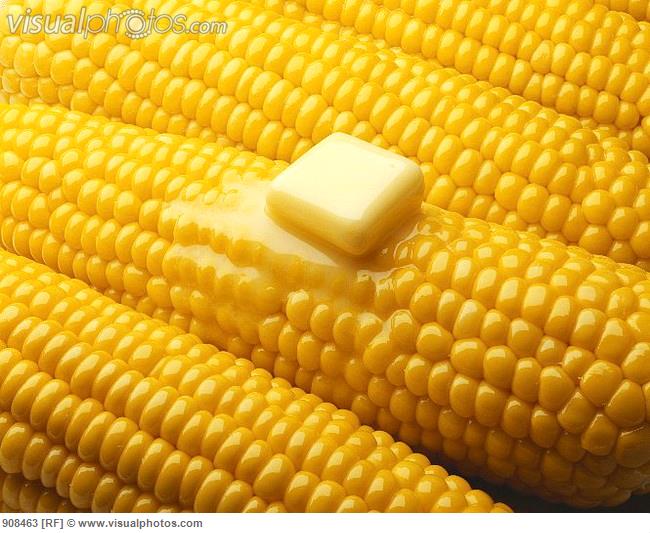 butter_melting_on_corn_on_the_cob_908463