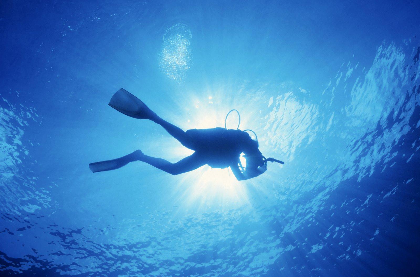 diver-underwater_00297643