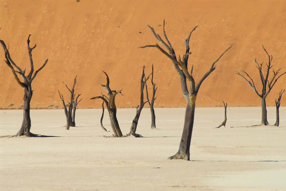 Deadvlei at Namib-Naukluft Park, Namibia