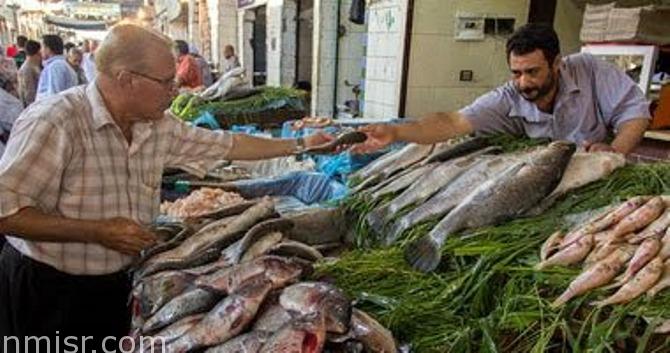 معلومة هامة جدا أزاي تعرف تفرّق بين السمك النيلي والبحري وبين سمك المزارع حقائق مدهشة للجميع عن السمك