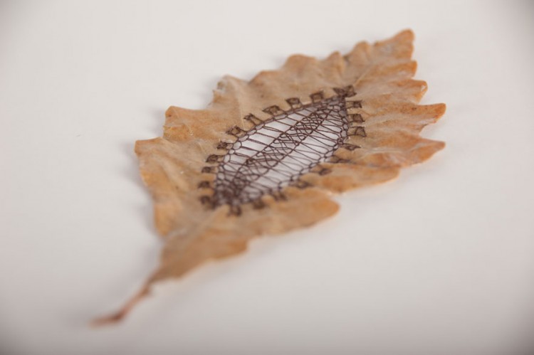 stitched-leaves-embroidery-hillary-fayle-12