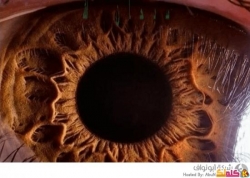 صور مايكروسكوب مقربة للعين البشرية فيديو سبحان الله