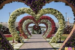 أكبر حديقة للزهور بالعالم في دبي
