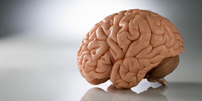 خرافات منتشرة عن دماغ الإنسان ستندهش عند معرفتها 