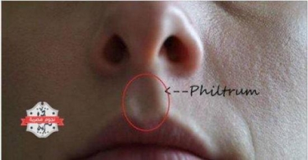 هل تعرف ما الهدف من وجود هذا الشكل ما بين أنفك وشفتيك؟
