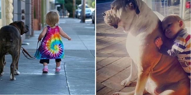 7 صور تظهر لماذا يجب أن يحصل كل طفل على حيوان أليف