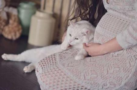 ما حقيقة خطر تربية القطط على الحامل؟