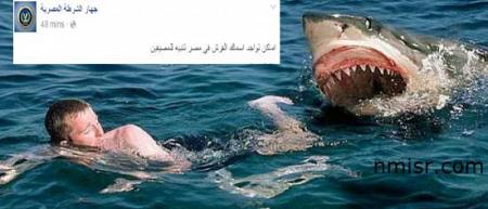 الشرطة المصرية تحذر المصيفين هذا العام ، هذه هي الأماكن التي تتواجد بها أسماك القرش في مصايف مصر