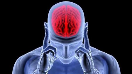 كيف يؤثر الإجهاد والضغط العصبي على العقل والجسم