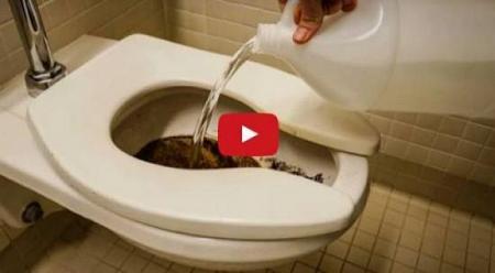 فيديو هذا ما يحدث عند وضع الخل داخل كرسي المرحاض