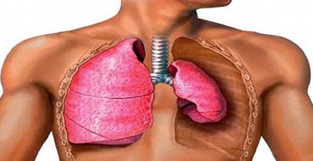 وصفة طبيعية لتنقية الجهاز التنفسي وحمايته من الأمراض