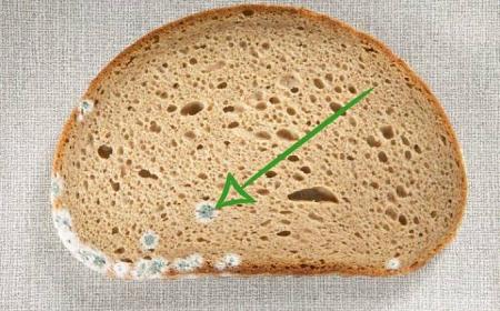 خطأ شائع نرتكبه جميعنا لهذا السبب إحذروا إزالة الأجزاء المتعفنة من الخبز!