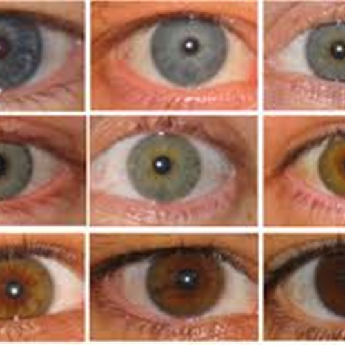 لون العيون يكشف الصفات الحقيقية للإنسان