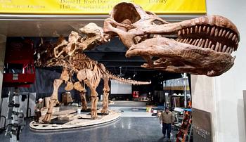 بالفيديو اكتشاف أكبر ديناصور في العالم وزنه 70 طنا