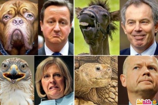 بالصور تشابه الملامح بين 13 سياسيا وعدد من الحيوانات