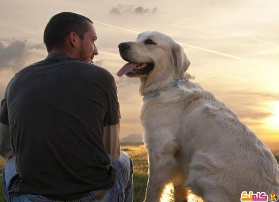 تواصل هرموني سر العلاقة بين الكلاب وأصحابها 