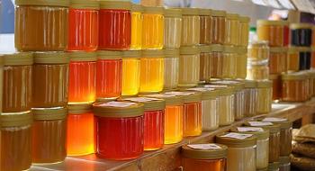 علاج للأرق ومغذي للشعر 10 فوائد مذهلة لعسل النحل