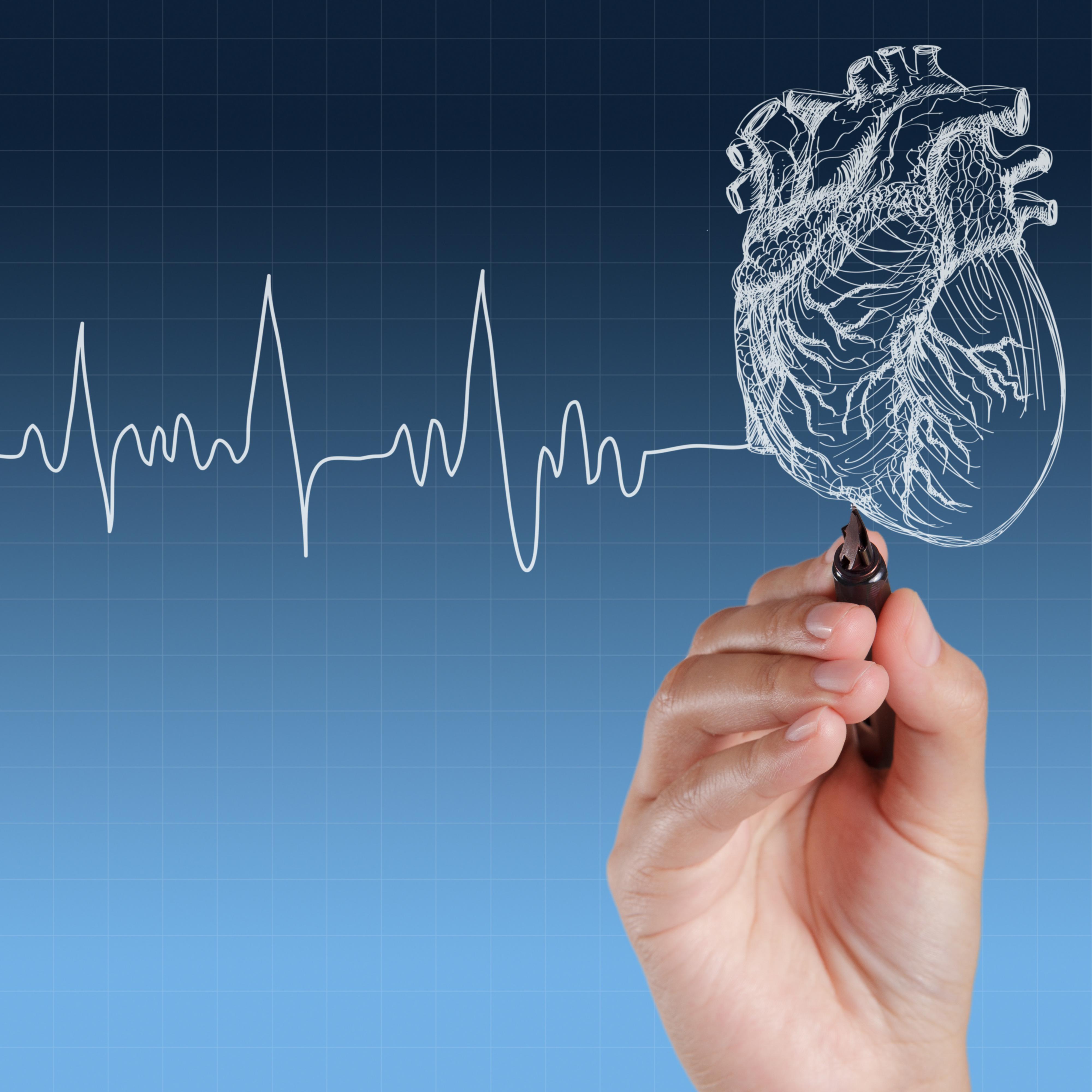 سرعة ضربات القلب أسبابها وعلاجها وطرق الوقاية منها