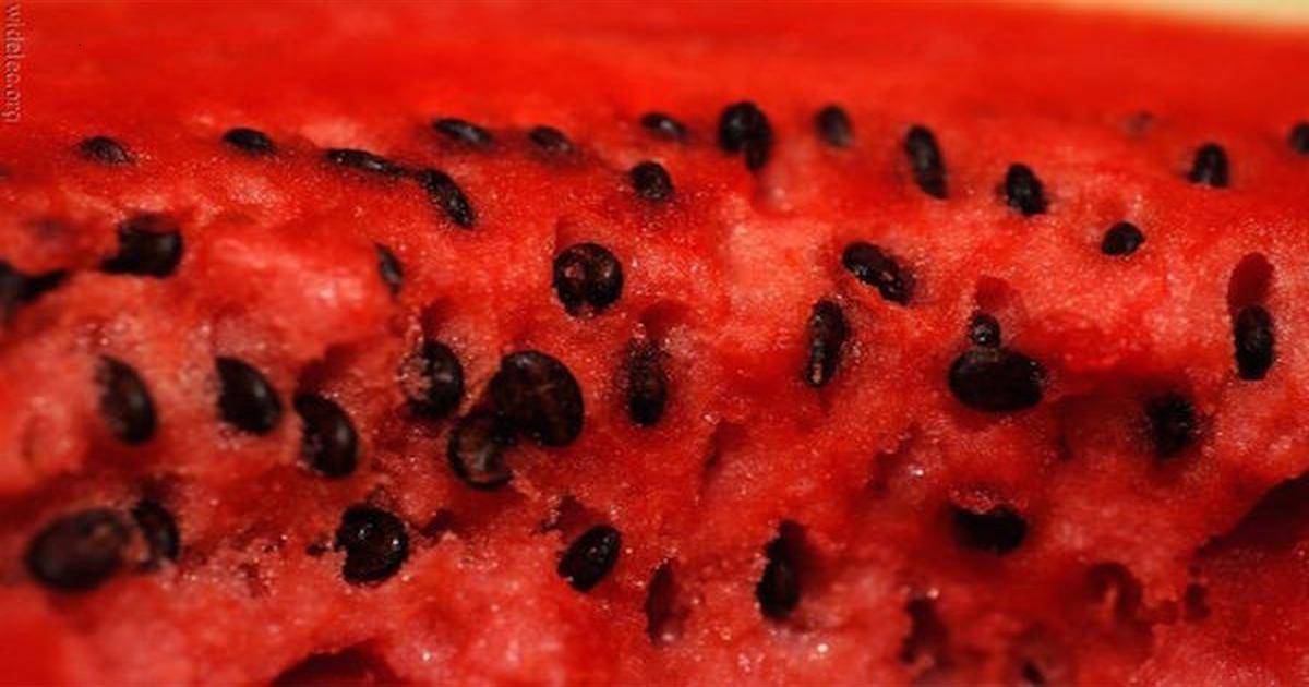 الفوائد الصحية لمشروب بذور البطيخ