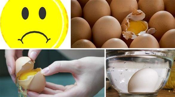 بالفيديو كيف تكشف أن البيضة فاسدة خلال دقيقة