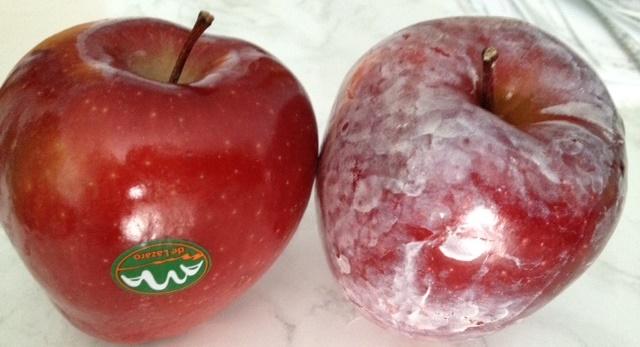 كيف تميّز بين التفاح الطبيعي والتفاح المغطّى بطبقة شمعية لامعة 
