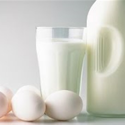 بالفيديو 7 فوائد مذهلة لتناول مشروب البيض بالحليب يوميا