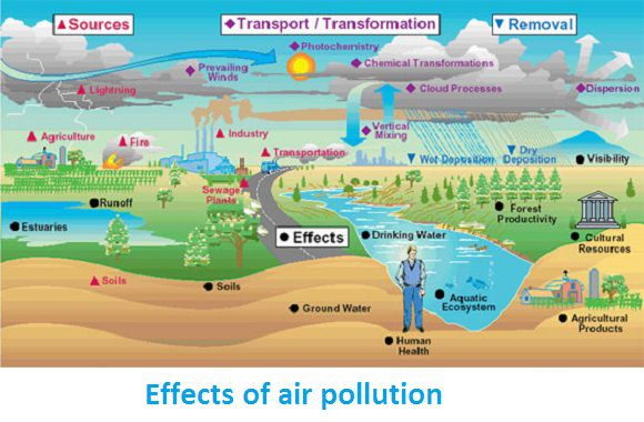 ما هو تأثير تلوث الهواء على الصحة والبيئة 