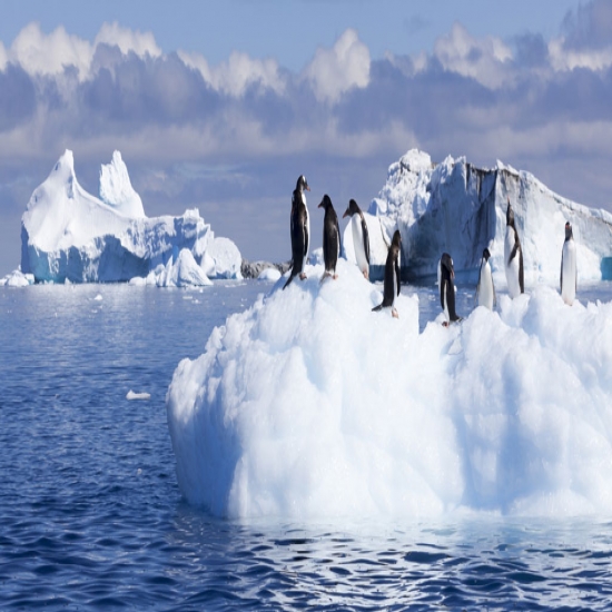 لمن تعود ملكية القارة القطبية الجنوبية المتجمدة 