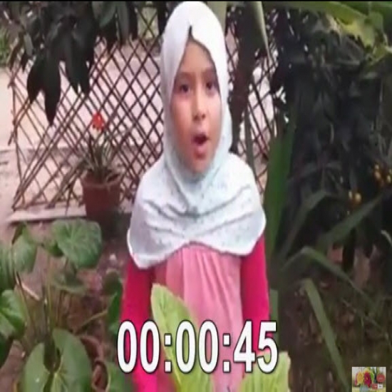 مقطع فيديو لطفلة تشرح أسباب السعادة الحقيقية فى الدنيا والآخرة فى دقيقتين