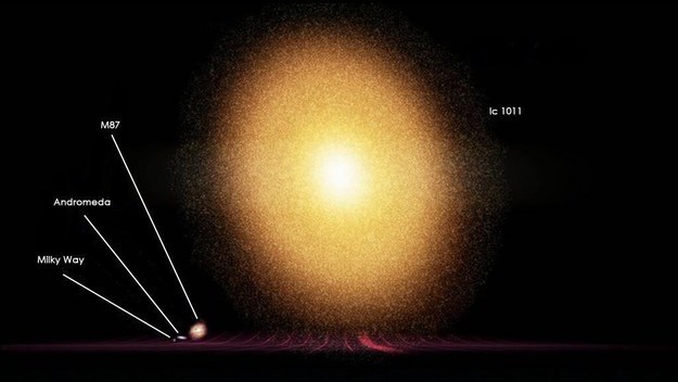 But even our galaxy is a little runt compared with some others. Here&#39;s the Milky Way compared to IC 1011, 350 million light years away from Earth: