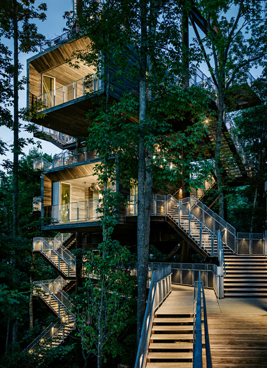Treehouse_Gallery-1