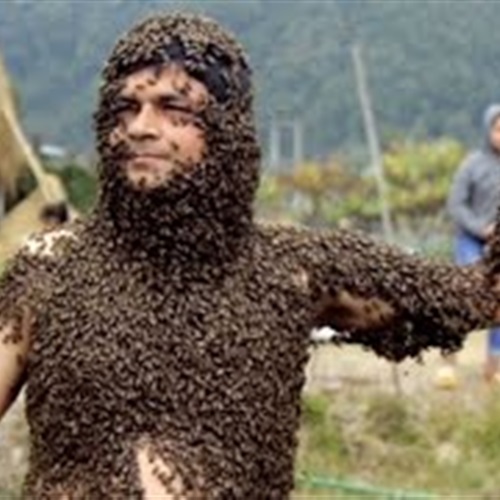 بالفيديو لقطات مذهلة لرجل يغطي جسده بملايين النحل