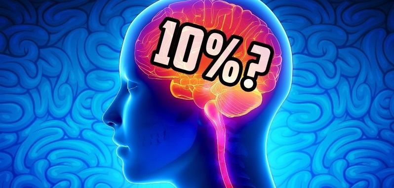 هل صحيح أن الإنسان يستخدم 10 فقط من دماغه 