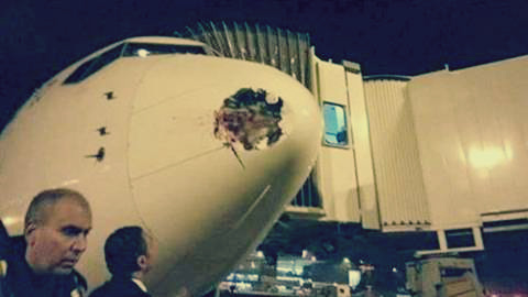 شاهد ثقب في طائرة مصرية كاد يتسبب في كارثة فوق لندن Bird Strike