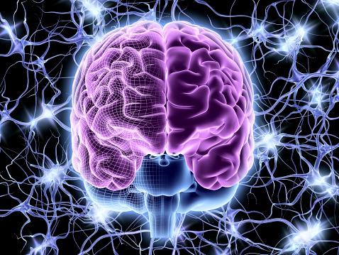 مشروع أبوللو العقل هل ينجح في محاكاة العقل البشري 