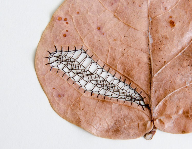 stitched-leaves-embroidery-hillary-fayle-8