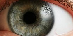 المحلول المعدني المعجزة يؤدي إلى فقدان البصر