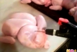 فيديو غش لزيادة وزن الدجاج حرامييييه
