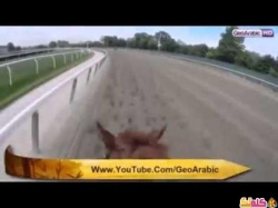 هذا ما يشاهده الفارس خلال السباق فيديو