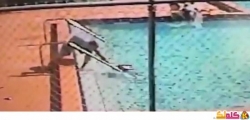 فيديو مقطع صادم لأطفال في مسبح مكهرب