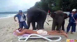 بالفيديو شاهد مساج الفيلة على الشاطئ