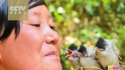 فيديو صينية تضع الديدان في فمها لتطعم الطيور 