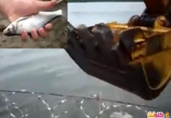 محترف يصطاد سمكة باستخدام جرافة
