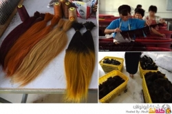 جولة داخل مصنع شعر بشري في الصين 