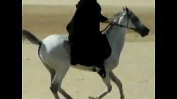 بالفيديو زفة عروسة على ظهر حصان في مصر